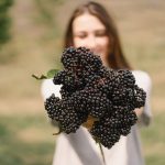 Importance of Elderberry Supplement for your health!